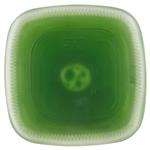 Liquori & Distillati Analcolici