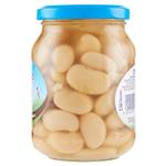 legumi in scatola e salamoia