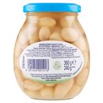 legumi in scatola e salamoia