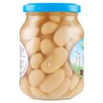 legumi in scatola e salamoia