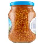 legumi in scatola e salamoia