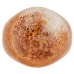 legumi in scatola e salamoia