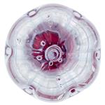 Acqua Naturale e Gasata