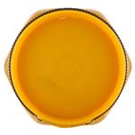 Spalmabili e Solubili