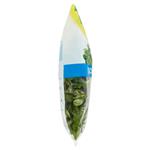 Vegetali Freschi