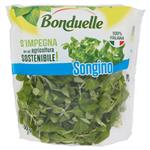 Vegetali Freschi
