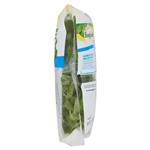 Vegetali Freschi