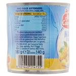 legumi in scatola e salamoia