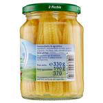 legumi in scatola e salamoia