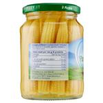 legumi in scatola e salamoia