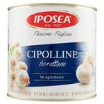 legumi in scatola e salamoia