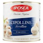 legumi in scatola e salamoia