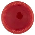 legumi in scatola e salamoia