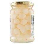 legumi in scatola e salamoia