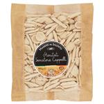 Pasta Fresca e Surgelata