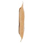 Pasta Secca