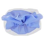 Vegetali e Legumi Secchi