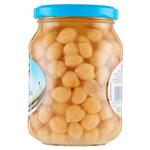 legumi in scatola e salamoia