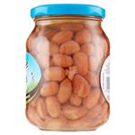 legumi in scatola e salamoia