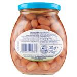 legumi in scatola e salamoia