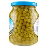 legumi in scatola e salamoia