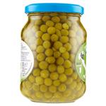 legumi in scatola e salamoia